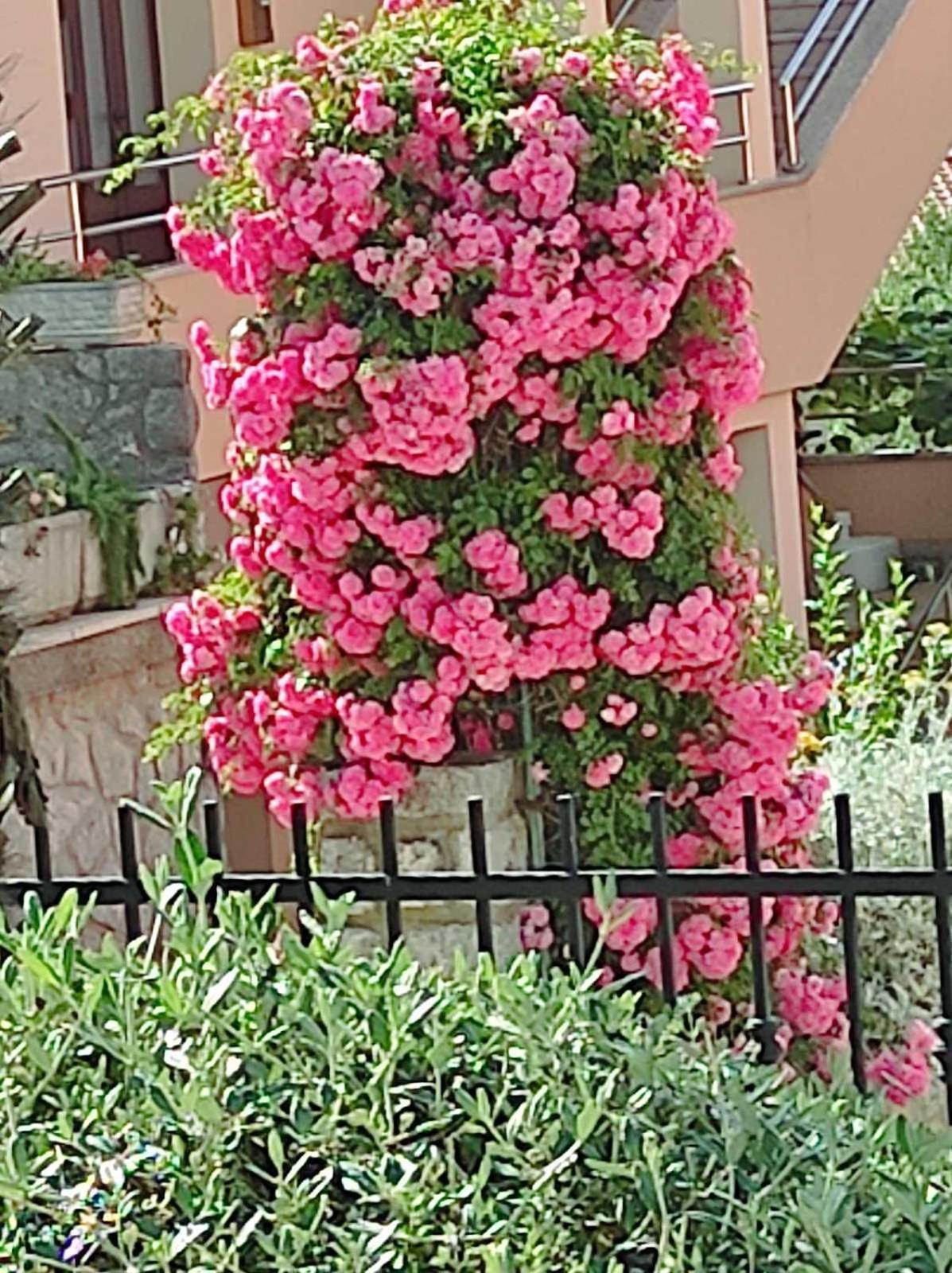 Apartmani Paradiso คิร์ก ภายนอก รูปภาพ
